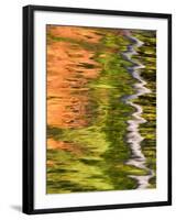 Refections of Fall Foliage and Birch Trees in Pond, Acadia National Park, Maine, USA-Joanne Wells-Framed Premium Photographic Print