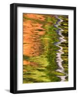 Refections of Fall Foliage and Birch Trees in Pond, Acadia National Park, Maine, USA-Joanne Wells-Framed Photographic Print