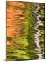 Refections of Fall Foliage and Birch Trees in Pond, Acadia National Park, Maine, USA-Joanne Wells-Mounted Photographic Print