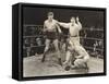 Referee Counting over Boxer in Ring-null-Framed Stretched Canvas