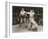 Referee Counting over Boxer in Ring-null-Framed Photo