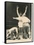 Referee John Lobianco Waves Champion Cassius Clay to a Corner-null-Framed Stretched Canvas