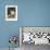 Referee John Lobianco Waves Champion Cassius Clay to a Corner-null-Framed Photographic Print displayed on a wall