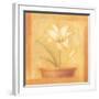 Refined Flower II-Lewman Zaid-Framed Art Print