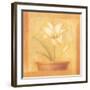 Refined Flower II-Lewman Zaid-Framed Art Print