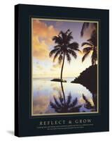 Reflect And Grow-Chris Simpson-Stretched Canvas