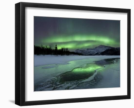 Reflected Aurora Over a Frozen Laksa Lake, Nordland, Norway-Stocktrek Images-Framed Premium Photographic Print