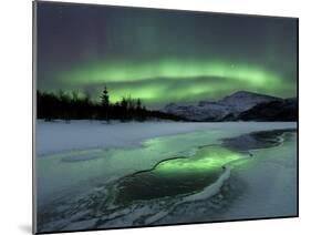 Reflected Aurora Over a Frozen Laksa Lake, Nordland, Norway-Stocktrek Images-Mounted Premium Photographic Print