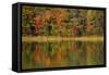 Reflected autumn colors at Echo Lake State Park, New Hampshire, USA-Michel Hersen-Framed Stretched Canvas