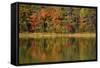 Reflected autumn colors at Echo Lake State Park, New Hampshire, USA-Michel Hersen-Framed Stretched Canvas