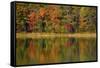 Reflected autumn colors at Echo Lake State Park, New Hampshire, USA-Michel Hersen-Framed Stretched Canvas