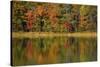 Reflected autumn colors at Echo Lake State Park, New Hampshire, USA-Michel Hersen-Stretched Canvas