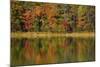 Reflected autumn colors at Echo Lake State Park, New Hampshire, USA-Michel Hersen-Mounted Photographic Print