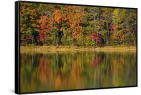 Reflected autumn colors at Echo Lake State Park, New Hampshire, USA-Michel Hersen-Framed Stretched Canvas