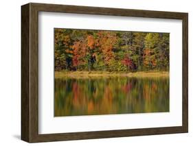 Reflected autumn colors at Echo Lake State Park, New Hampshire, USA-Michel Hersen-Framed Photographic Print