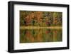 Reflected autumn colors at Echo Lake State Park, New Hampshire, USA-Michel Hersen-Framed Photographic Print