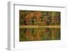 Reflected autumn colors at Echo Lake State Park, New Hampshire, USA-Michel Hersen-Framed Photographic Print