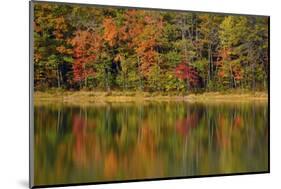 Reflected autumn colors at Echo Lake State Park, New Hampshire, USA-Michel Hersen-Mounted Photographic Print