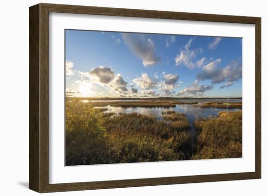 Reflected Clouds-Mike Toy-Framed Giclee Print