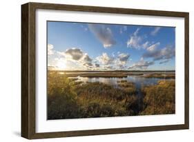 Reflected Clouds-Mike Toy-Framed Giclee Print