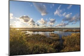 Reflected Clouds-Mike Toy-Mounted Giclee Print