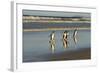 Reflected Gentoo Penguins (Pygoscelis Papua) Emerge from the Sea-Eleanor-Framed Photographic Print