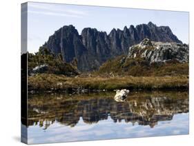 Reflected in Tarn on 'Cradle Mountain - Lake St Clair National Park', Tasmania, Australia-Christian Kober-Stretched Canvas