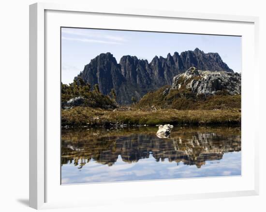 Reflected in Tarn on 'Cradle Mountain - Lake St Clair National Park', Tasmania, Australia-Christian Kober-Framed Photographic Print