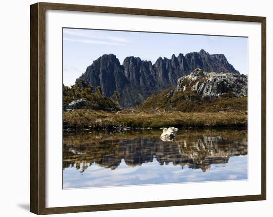 Reflected in Tarn on 'Cradle Mountain - Lake St Clair National Park', Tasmania, Australia-Christian Kober-Framed Photographic Print