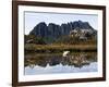 Reflected in Tarn on 'Cradle Mountain - Lake St Clair National Park', Tasmania, Australia-Christian Kober-Framed Photographic Print