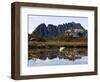 Reflected in Tarn on 'Cradle Mountain - Lake St Clair National Park', Tasmania, Australia-Christian Kober-Framed Photographic Print