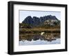 Reflected in Tarn on 'Cradle Mountain - Lake St Clair National Park', Tasmania, Australia-Christian Kober-Framed Photographic Print