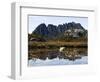 Reflected in Tarn on 'Cradle Mountain - Lake St Clair National Park', Tasmania, Australia-Christian Kober-Framed Photographic Print