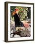 Reflected Light-Harry Watson-Framed Giclee Print