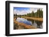 Reflected Pines at Schwabacher's Landing, Grand Teton National Park, Wyoming, Usa-Eleanor Scriven-Framed Photographic Print