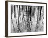 Reflected Pool-null-Framed Art Print