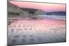 Reflected Sunset Light and Beach Pattern, Point Reyes-Vincent James-Mounted Photographic Print