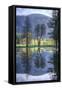 Reflected Trees in Yosemite Valley-Vincent James-Framed Stretched Canvas