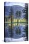 Reflected Trees in Yosemite Valley-Vincent James-Stretched Canvas
