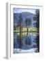 Reflected Trees in Yosemite Valley-Vincent James-Framed Photographic Print