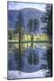 Reflected Trees in Yosemite Valley-Vincent James-Mounted Photographic Print