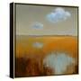 Reflecting Clouds-Jan Groenhart-Stretched Canvas