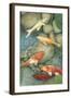 Reflecting Koi I-Megan Meagher-Framed Art Print