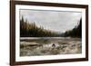 Reflecting Nature-Andrew Geiger-Framed Giclee Print