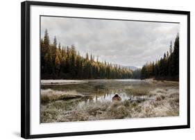 Reflecting Nature-Andrew Geiger-Framed Giclee Print