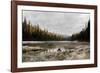 Reflecting Nature-Andrew Geiger-Framed Giclee Print