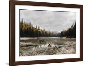 Reflecting Nature-Andrew Geiger-Framed Art Print