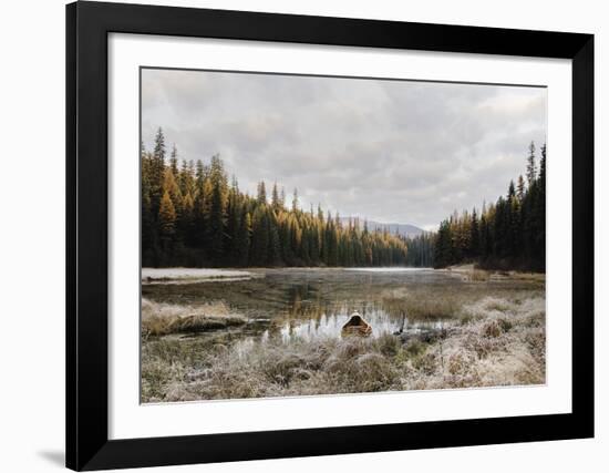 Reflecting Nature-Andrew Geiger-Framed Art Print