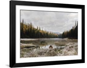 Reflecting Nature-Andrew Geiger-Framed Art Print