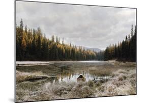 Reflecting Nature-Andrew Geiger-Mounted Art Print